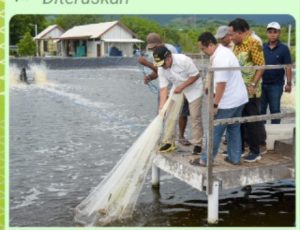 Panen Udang di Sumbawa, Pj Gubernur: Menuju Kedaulatan Pangan yang Kuat dari Segala Aspek